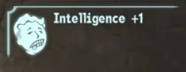 Intelligence +1