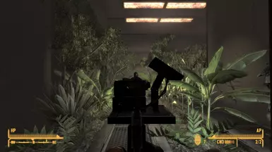 Aim for the head...
