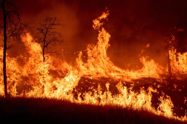 Pyromaniac - Make Flamethrowers Great Again