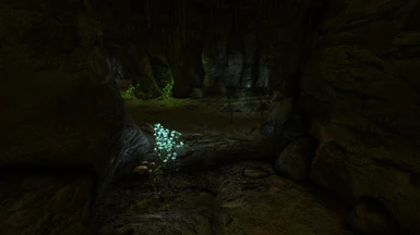 Toxic Cave