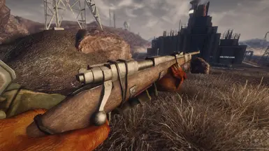 Hunting Rifle