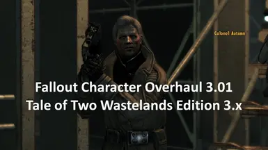 Fallout Character Overhaul - NPC Geck VS NPC In-Game - Tale of Two  Wastelands