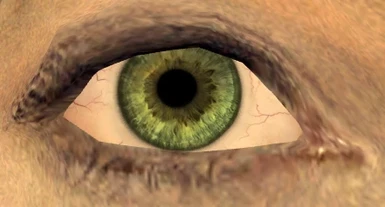 Closeup Detail - Green Eye