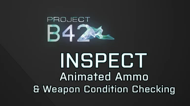 B42 Inspect - aka Animated Ammo and Weapon Condition Checking