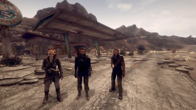 fallout new vegas multiplayer coop mod