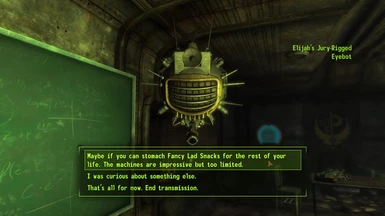 new vegas continue after ending