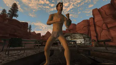 fallout new vegas underwear