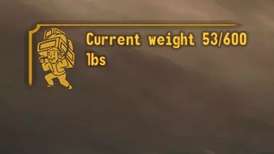 Weight Query Function