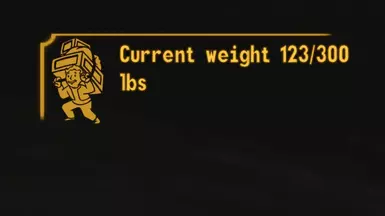 Weight Query Function