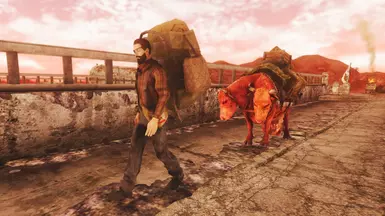 Roaming Couriers