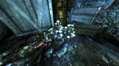 Racer Location Interior
