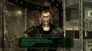 Ismet Companion file - FNV simple mods project for Fallout: New