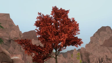 Fixed Trees