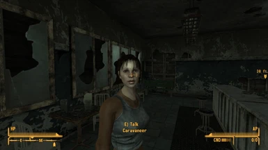 Переработка персонажей Fallout / Fallout Character Overhaul - Внешность  персонажа (NV) 