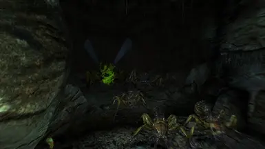 Ant Queen spittin' facts and painful acid