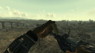 FNV Clean Animations - Chinese Pistol