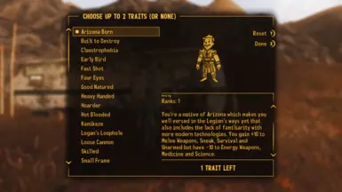 Fallout New Vegas: 10 Best Mods, Ranked