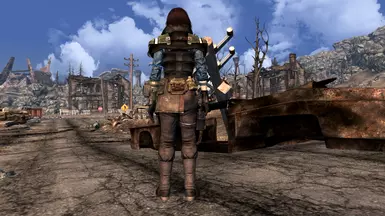 Now, you are more than ready (FNV)