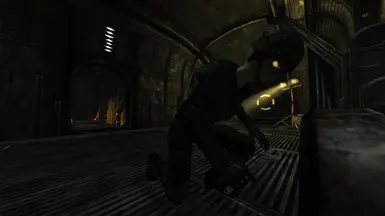 Brotherhood Knight