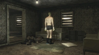 What you will see when you enter New Vegas Home for the first time