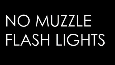 No Muzzle Flash Lights