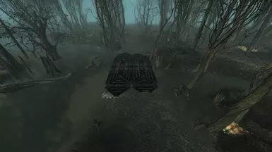 Swamp Bridge