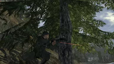 In The Shrubbery