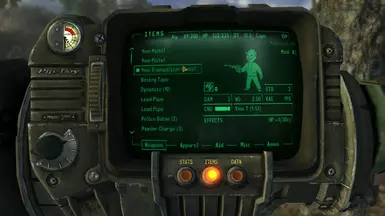 The Pistol's Icon
