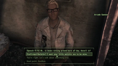 Fallout 2 is the best fallout game because you can be gay. :  r/classicfallout