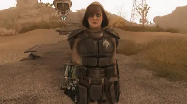 Field Scribe Armor (Hood not included)