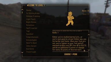 fallout New Vegas Max Skills & Max Perk & SPECIAL Guide all levels 