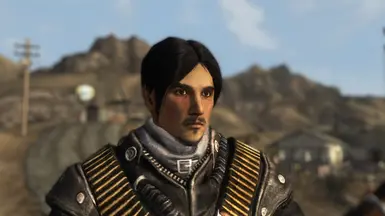 Musketeer (Version 1.3)