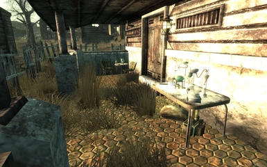 Kyndra's DC Starter Home (TTW) at Fallout New Vegas - mods and community