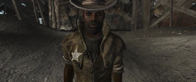 Fallout Character Overhaul - NPC Geck VS NPC In-Game - Tale of Two  Wastelands
