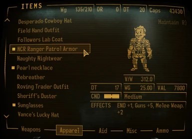 Ranger Patrol Armor Example
