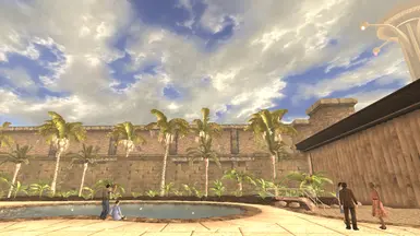 BEFORE, from Tops' courtyard