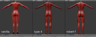 Body meshes comprasions