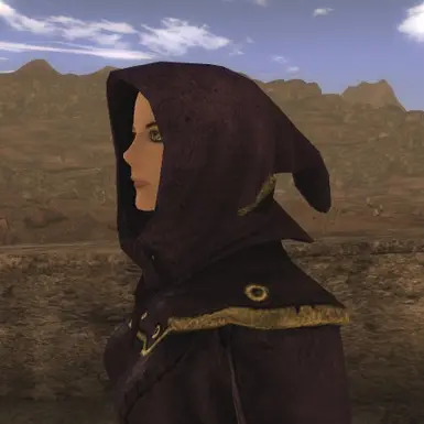 Standard Hood Mesh (Female)