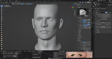 High Poly Male Head Resource at Fallout New Vegas - mods and community