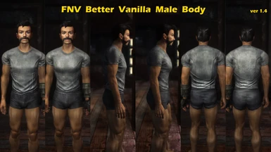 FNV Better Vanilla Male Body