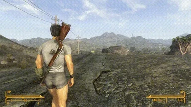 Fallout New Vegas gameplay