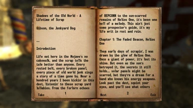 In game books written to be as lore friendly as possible, while still providing more depth to the location and people.