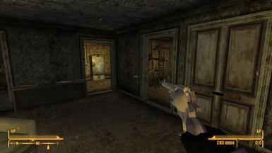 Cowgirl Revolver in First-Person