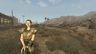 Character Kit Remake at Fallout New Vegas - mods and community