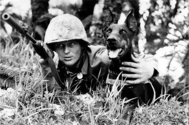 NCR Doggy Buddies are Doberman