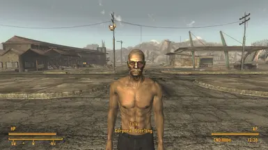 Fallout Character Overhaul (FCO) - YUP Patch (with Optional OHSB Support)  at Fallout New Vegas - mods and community