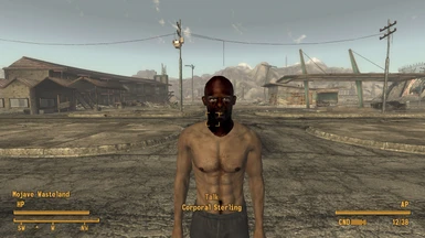 Fallout Character Overhaul Mod - Download