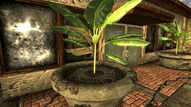 Vanilla