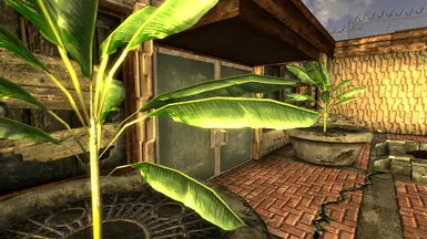 Vanilla