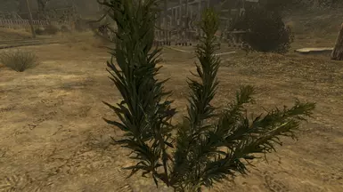 Mod - 2K